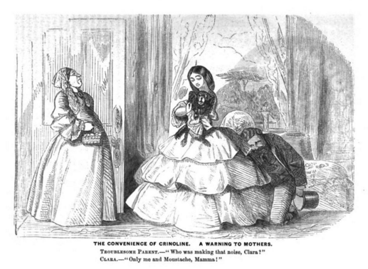 The crinoline was perceived as a signifier of social identity, with a popular subject for cartoons being that of maids wearing crinolines like their mistresses, much to the higher-class ladies' disapproval.