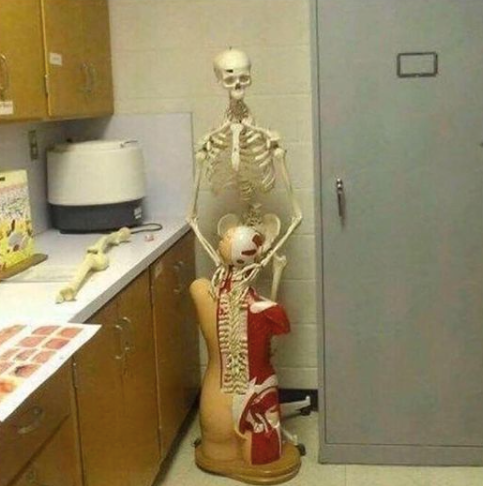 CauseWereGuys's tweet photo. I am not allowed back to urgent care https://t.co/YB3yeMWUSh