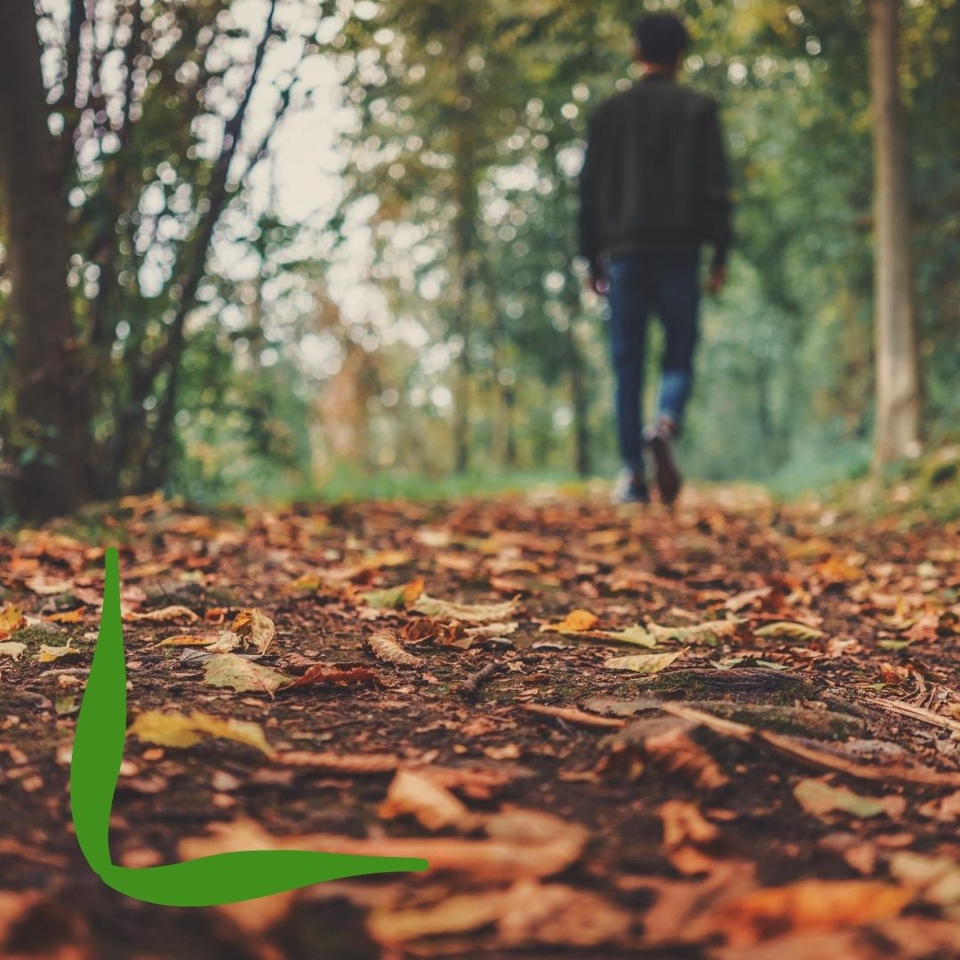 #Healthybodies lead to #healthyminds. Make sure that you are getting up and moving around every day. As we get closer to winter, #COVID-19 is making #exercise difficult, but a walk in the park or around the block can be the key to keeping yourself #productive and #happy!