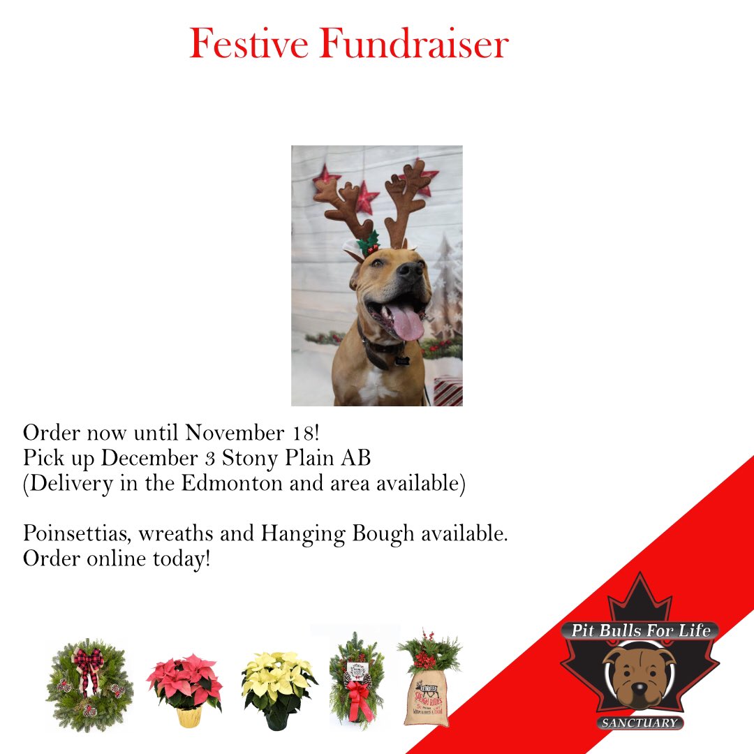 Last day to get your orders in for this awesome fundraiser! 
…sforlife.growingsmilesfundraising.com/home
Click the link to order! 
The wreaths smell absolutely amazing! 
#yeglocal #fundraiser #christmas #pitbullsanctuary #yegbot