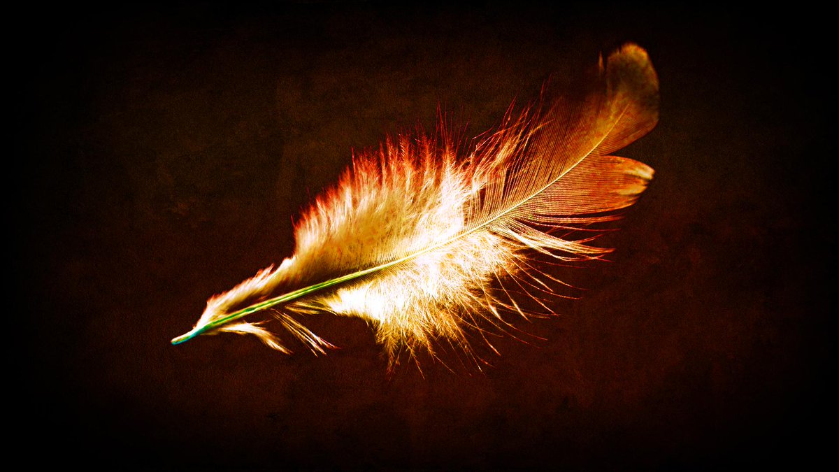 𝕐𝕠𝕦 𝕕𝕖𝕤𝕖𝕣𝕧𝕖 𝕤𝕠𝕞𝕖𝕠𝕟𝕖 𝕨𝕙𝕠'𝕝𝕝 𝕤𝕙𝕠𝕨 𝕪𝕒 𝕞𝕖𝕣𝕔𝕪

𝕃𝕒𝕚𝕟, 𝕥𝕙𝕖 𝕞𝕖𝕣𝕔𝕖𝕟𝕒𝕣𝕪
ᵀʰᵉ ᵖʰᵒᵉᶰᶤˣ
𝕃𝕒𝕣𝕜𝕚𝕟, 𝕥𝕙𝕖 𝕚𝕕𝕠𝕝
ᵀʰᵉ ᵃˡᶤᵃˢ
𝘗𝘳𝘰𝘤𝘦𝘦𝘥 𝘣𝘦𝘭𝘰𝘸. . .