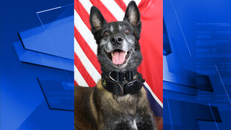 WSMV's tweet photo. UPDATE: La Vergne K9 Officer Sjaak dies after Tuesday shooting. Hear from police about their loss.  https://t.co/dtnmvC1Ynb https://t.co/s7bMiydDAQ