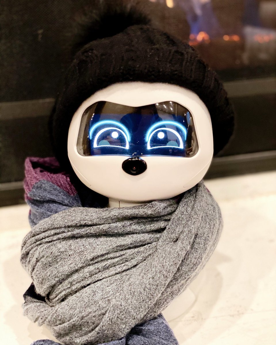 Kiki Robot by Zoetic AI tweet media