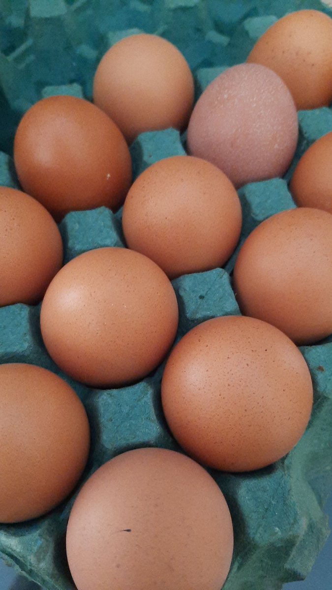 devakle's tweet image. #oddfood