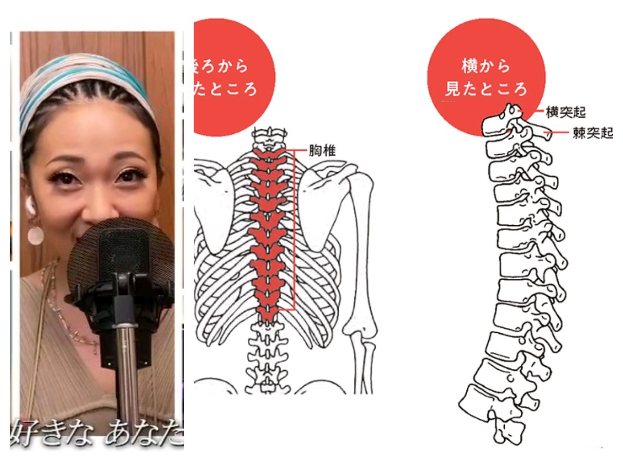 わび さび 在 Twitter Misia 落馬骨折 胸椎棘突起 とは 背骨には 7個 頸椎 12個 胸椎 5個 腰椎 に仙骨と尾骨があるそうだ 図にあるように胸椎の 棘 きょく 突起 骨折のようだ Misia Nhk紅白 どうなる Misia News23 撮影中に落馬し骨折 12月の