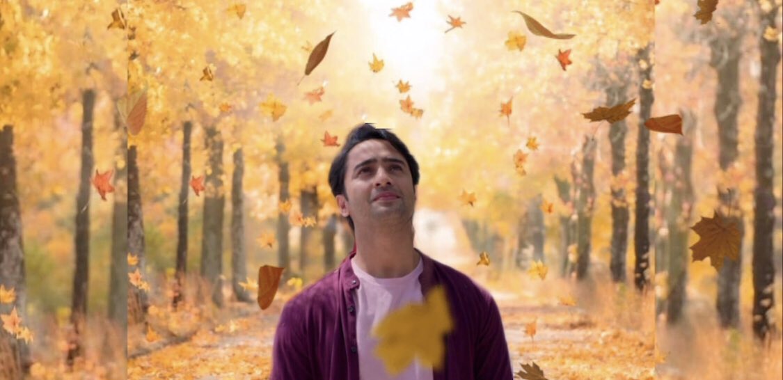 This thread is dedicated to  @Shaheer_S To The beautiful person inside out #ShaheerSheikh Next time wen you think of beautiful things, don’t forget to count yourself in Shaheer