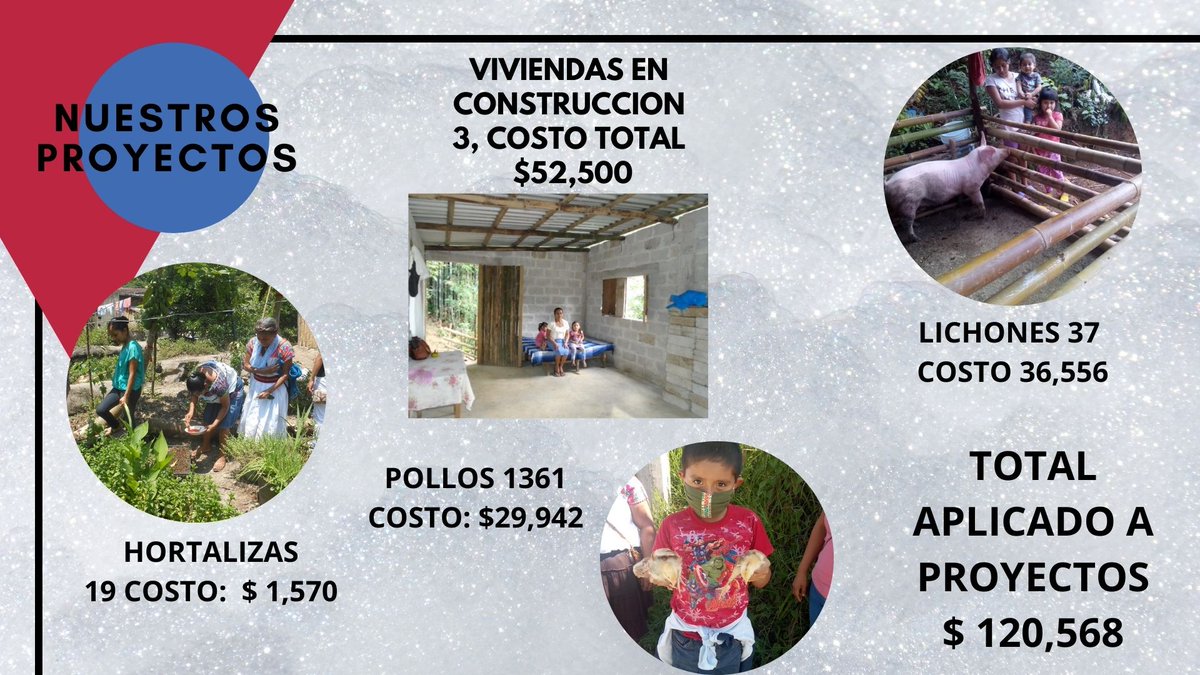 PROAN1's tweet photo. RESULTADOS 2020 https://t.co/mqkQ4nfoLt