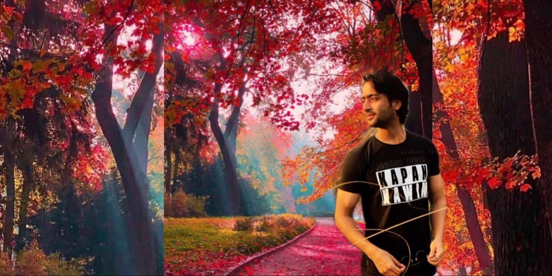 The roots of beauty are love and kindness, the fruits are meaning and purpose. #ShaheerSheikh  @Shaheer_S