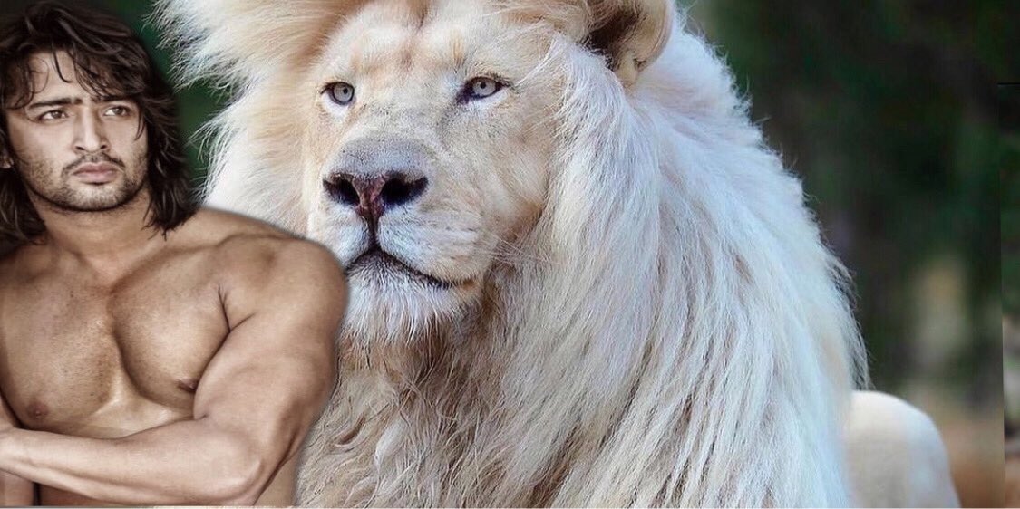 The beautiful is always bizarre. #ShaheerSheikh  @Shaheer_S