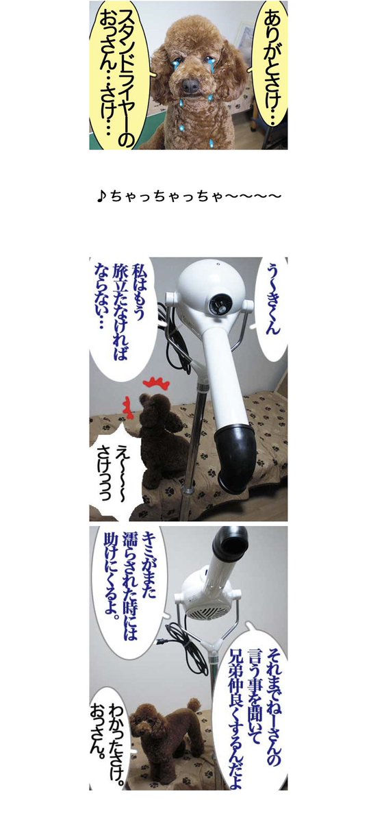 今下絵でスタンドドライヤー描いてて自分が作ったスタンドドライヤーの歌とブログ記事を思い出してアホすぎて呆れてるんだけど初めてスタンドドライヤーを買うと貧乏トリマーはこんなに浮かれるんやで
『貧乏トリマーがスタンドドライヤーを手に入れたらこうなる。』
⇒ https://t.co/VgnIddlnG6