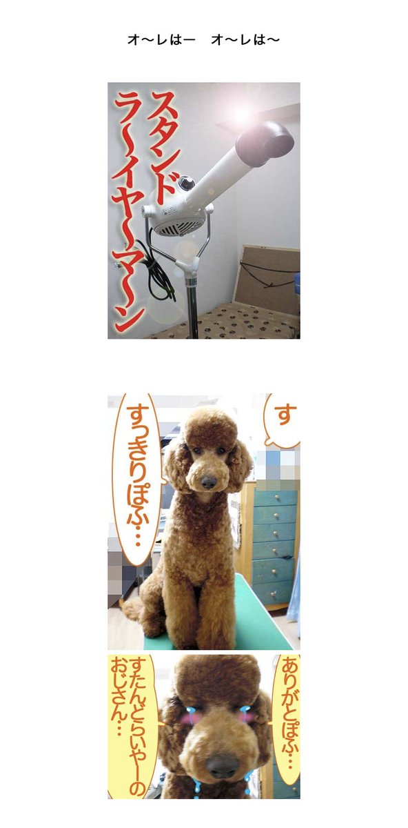 今下絵でスタンドドライヤー描いてて自分が作ったスタンドドライヤーの歌とブログ記事を思い出してアホすぎて呆れてるんだけど初めてスタンドドライヤーを買うと貧乏トリマーはこんなに浮かれるんやで
『貧乏トリマーがスタンドドライヤーを手に入れたらこうなる。』
⇒ https://t.co/VgnIddlnG6