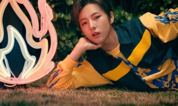 soyaalways's tweet photo. 고양이 4마리 https://t.co/wYejUIBqBz