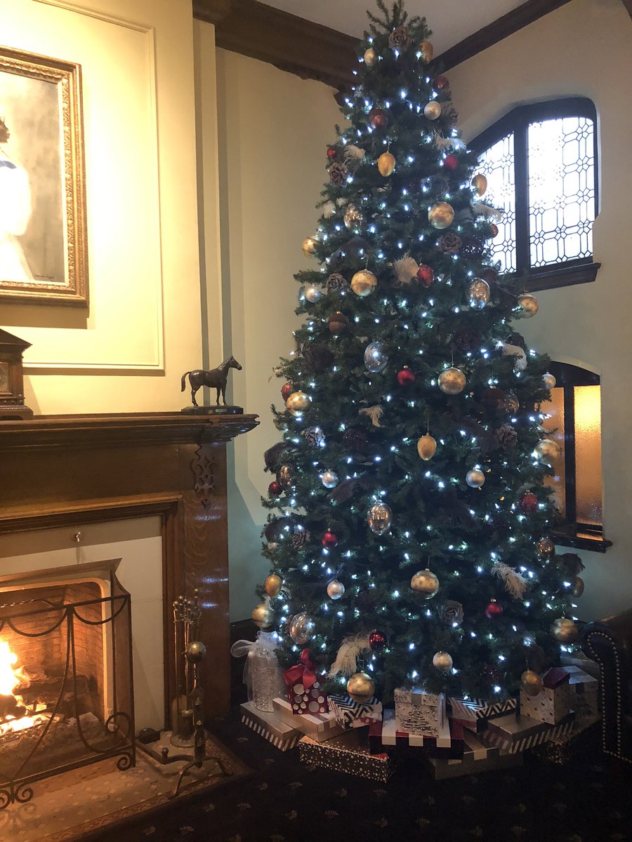 TheHamiltonClub's tweet image. It’s beginning to look a lot like Christmas - Nothing like a roaring fire and a 20-foot tree to get you in the festive spirit! #Christmas #ChristmasTree #TheHamiltonClub #HamOnt
