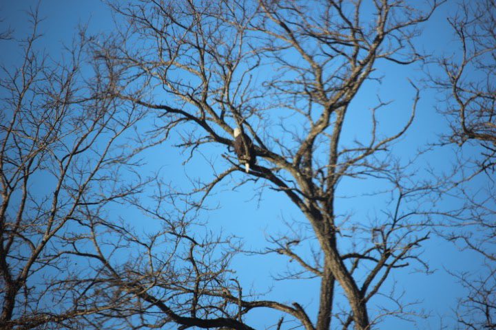 GESprincipal1's tweet photo. We had an amazing visitor in the GES parking lot this morning! #GoGES https://t.co/Y90BSERg3N