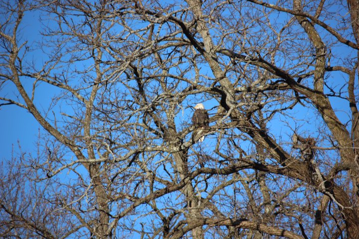 GESprincipal1's tweet photo. We had an amazing visitor in the GES parking lot this morning! #GoGES https://t.co/Y90BSERg3N