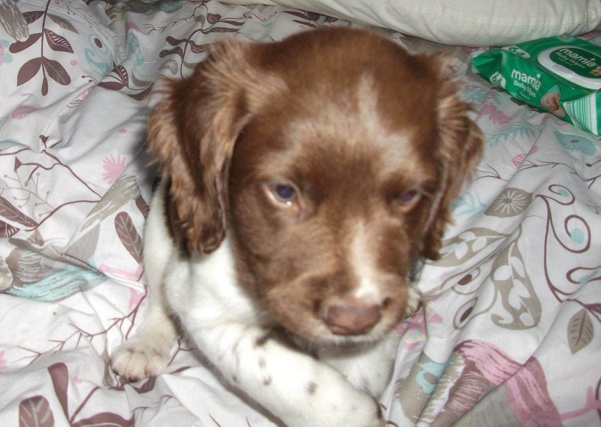 Henderson George Martin tweet media