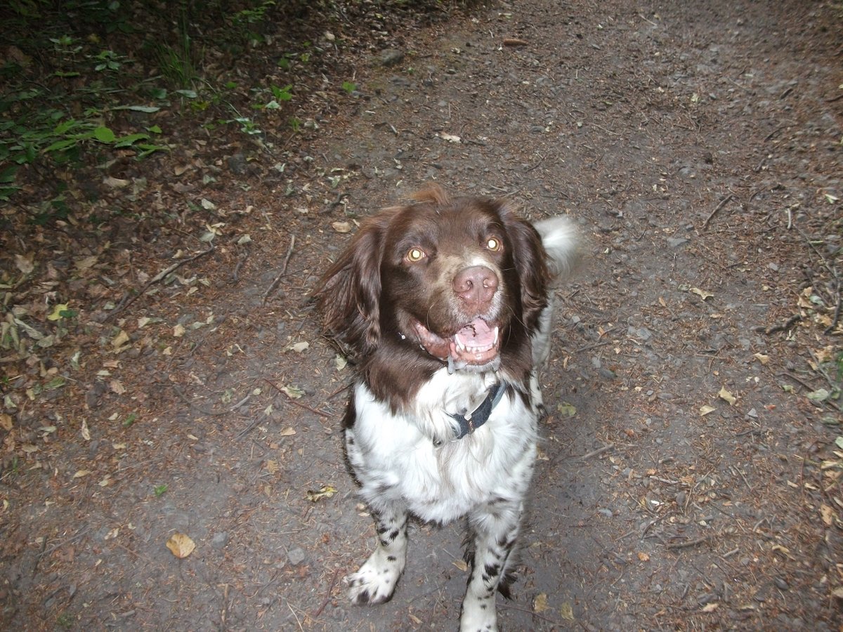 Henderson George Martin tweet media