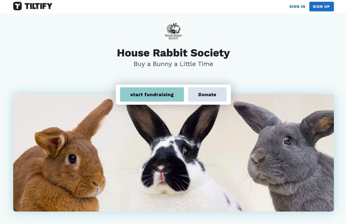 house bunny society