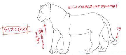 お絵かき図鑑 Pa Twitter 屈強なライオンやトラをリアルにかっこよく描いてみたい Gwさんの解説イラストから 描き分け方をチェックしてみましょう ๐ ๐ T Co Ov1chhj802 Gwさんに記事掲載許可を頂いております T Co Sgxfjdxbuk お絵かき図鑑 Pa Twitter 屈強なライオンやトラをリアルにかっこよく描いてみたい Gwさんの解説イラストから 描き分け方をチェックしてみましょう ๐ ๐ T Co Ov1chhj802 Gwさんに記事掲載許可を頂いております T Co Sgxfjdxbuk