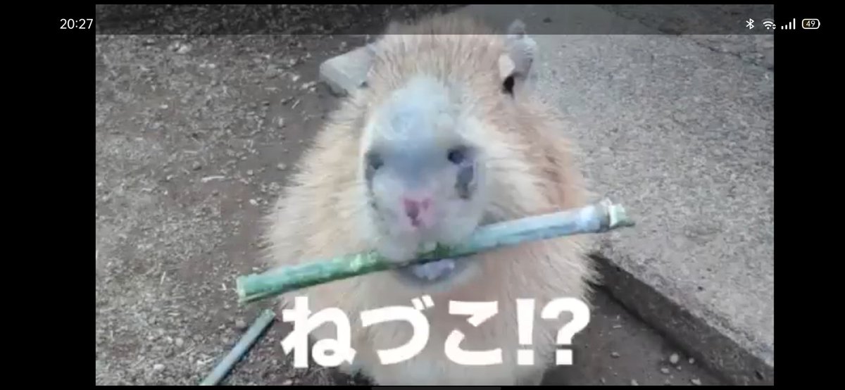 轉po