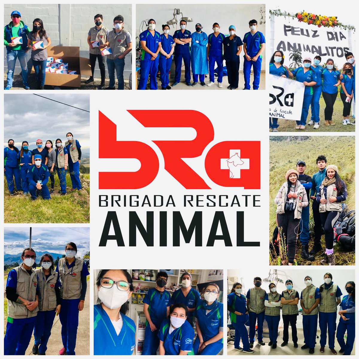 BRA - BRIGADA RESCATE ANIMAL tweet media
