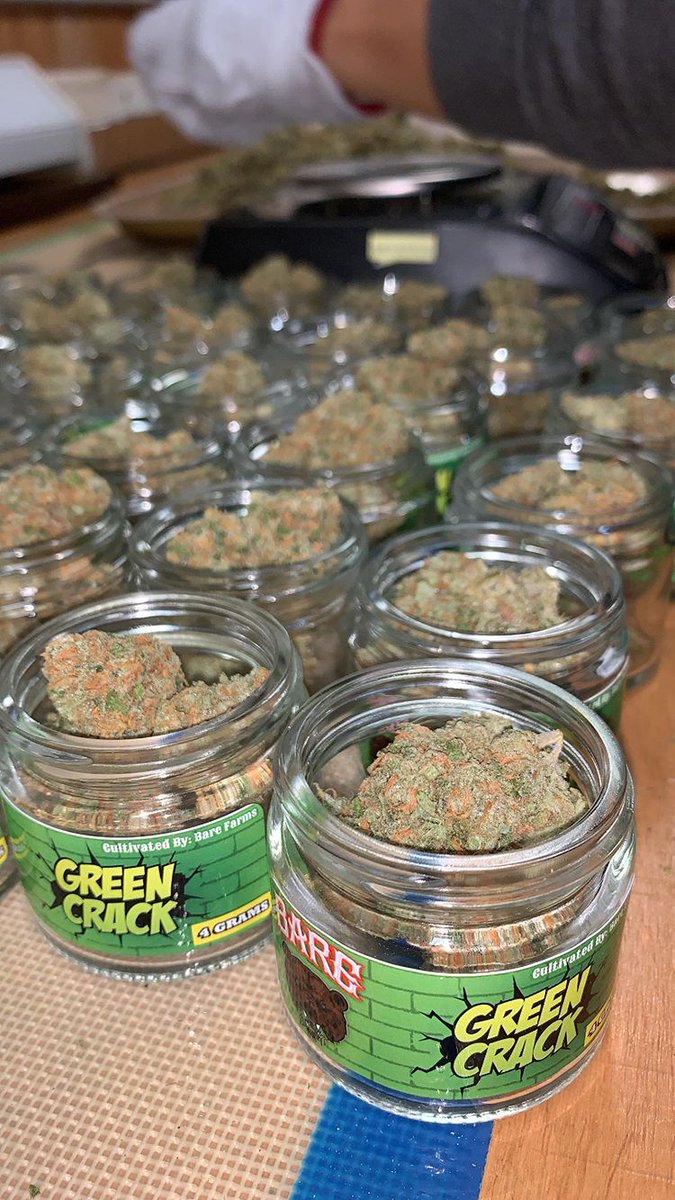 Plugboy42's tweet photo. #stoner #highlife #marvelcarts #tkocarts #smartcarts #dankcartridges #exoticcarts #cookiescarts #weed
π»SC...clifestyle71
WhatsApp....+17658892362 https://t.co/45WxO1OcHU