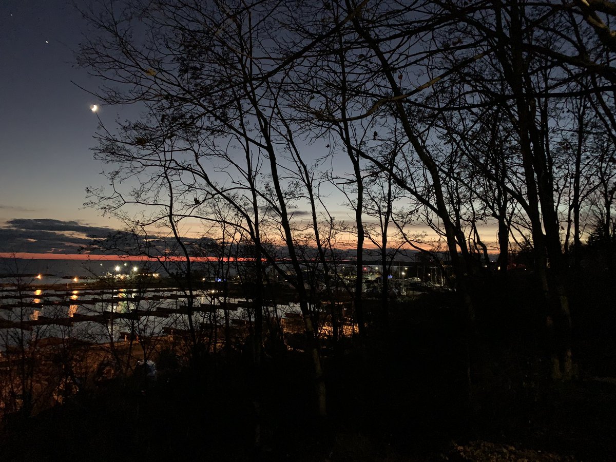 Sue Jewell tweet media