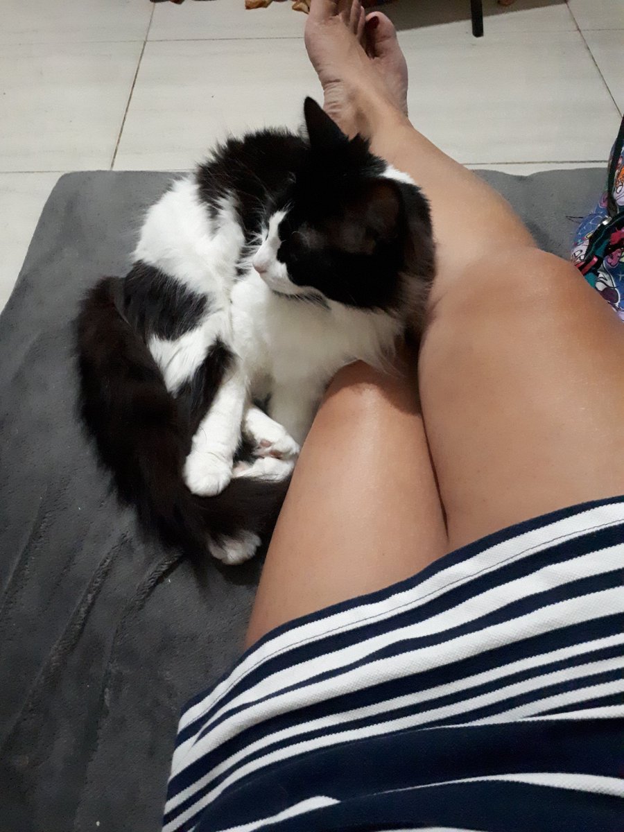 Alguém se acha! Nina é folgada e espaçosa! Boa noite seguimores! Bons sonhos!😉