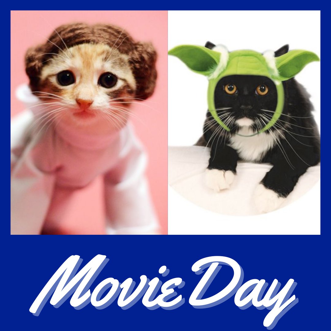 LMSprincipals's tweet photo. Hey Spartans! What movies are you reppin' tomorrow for Spartan Spirit Week: Movie Day edition? Now taking submissions for a cuter Leia and Yoda duo! πβ¨π₯π¬
.
.
.
#LMSproud #pullmanschools #pullmanschooldistrict #pullmanwa #psd267 #movieday https://t.co/uBVGJisFVB