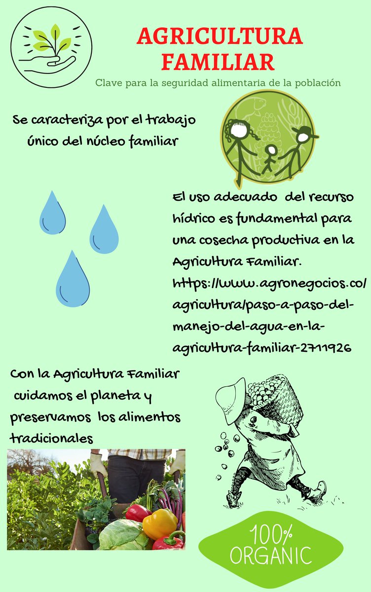 Lina Cubides tweet media