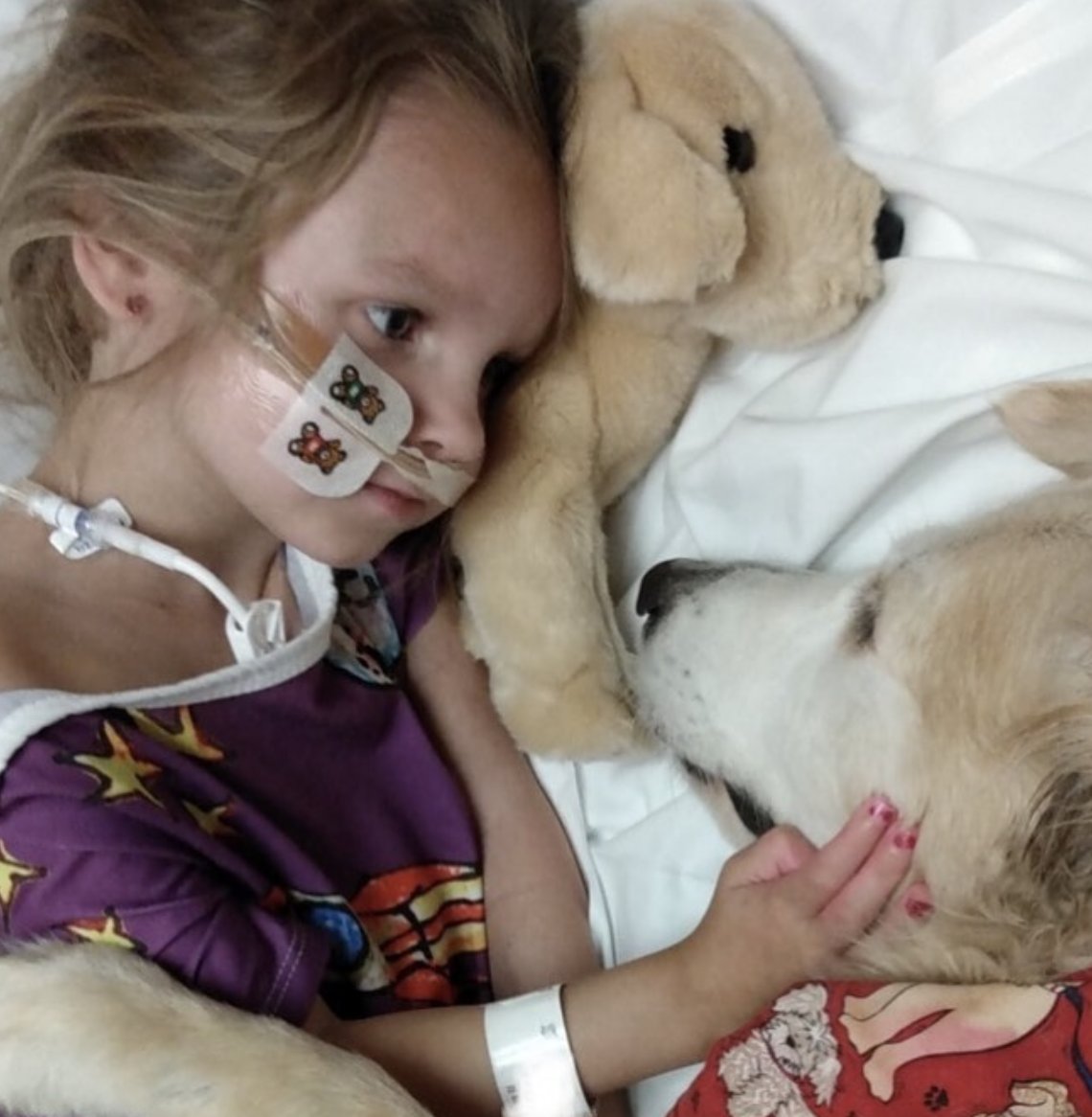 RileyCLZone's tweet photo. Did you know that the Pet Therapy program is part of the Child Life Department, supported by @RileyKids. #RileyRally https://t.co/UCdPLxsKPX