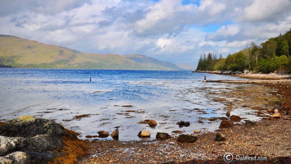 Dawired1's tweet photo. The alluring Loch Linnhe near Fort Williams 🏴󠁧󠁢󠁳󠁣󠁴󠁿. The name Linnhe is derived from the Gaelic word linne, meaning 'pool'.

#ᴅᴀᴡɪʀᴇᴅ #ʙʟᴏɢɢᴇʀʟɪғᴇ #ᴅᴀᴡɪʀᴇᴅʟɪғᴇ #ᴘʜᴏᴛᴏɢʀᴀᴘʜʏ #ᴇxᴘʟᴏʀᴇ #ᴘʜᴏᴛᴏᴏғᴛʜᴇᴅᴀʏ #ᴜᴋ #sᴄᴏᴛʟᴀɴᴅ #ғᴏʀᴛᴡɪʟʟɪᴀᴍ #ʟᴏᴄʜ https://t.co/VNSqg1JKPC