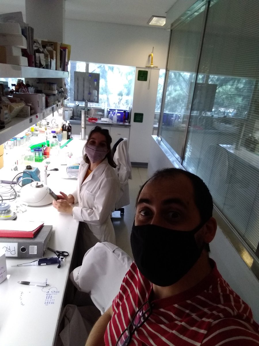 alfonsosoler79's tweet image. Some more pics of today&apos;s 
#BackToTheLab 
@IIBUNSAM 
So happy!😁😁