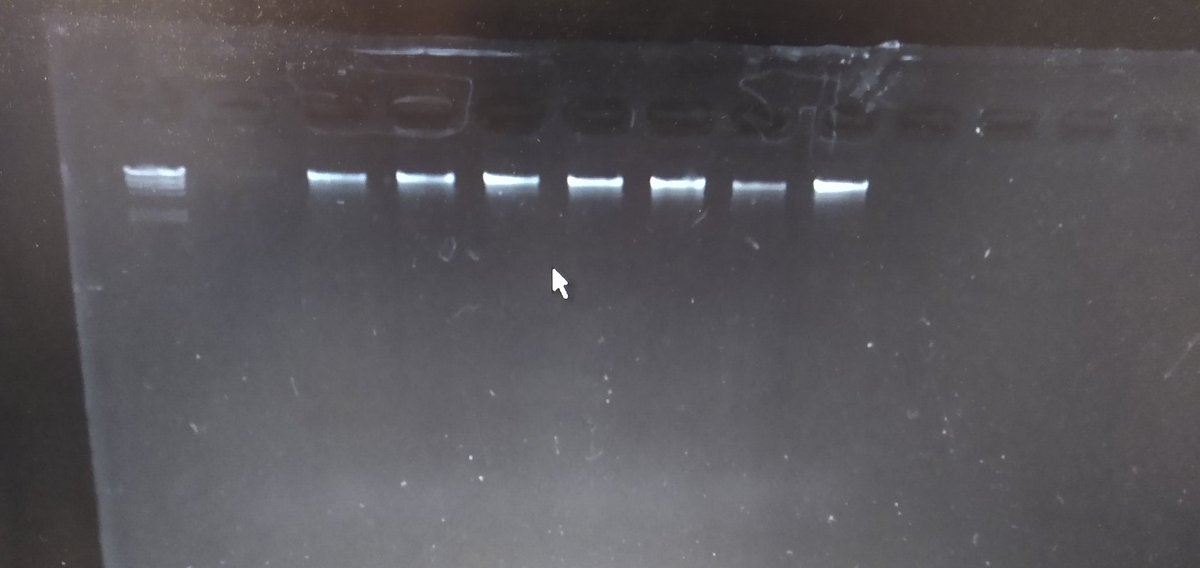 alfonsosoler79's tweet image. Some more pics of today&apos;s 
#BackToTheLab 
@IIBUNSAM 
So happy!😁😁