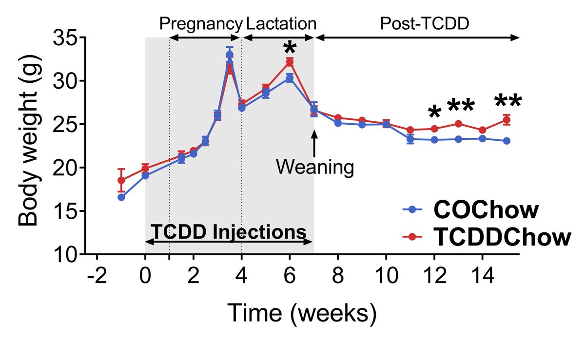 We found that TCDD exposure during pregnancy/lactation promoted weight gain in chow-fed dams long after TCDD was fully excreted. (7/13)