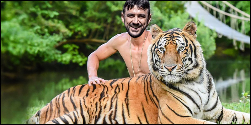 Тайгер видео. Коди Антл и тигры. Мужчина тигр. Тигр любит человека. Тайгер мен.