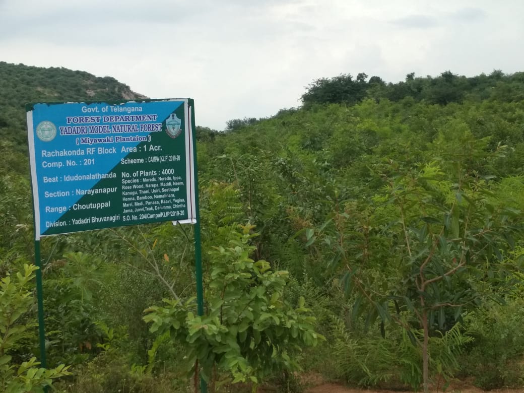 pramod kumar tweet media