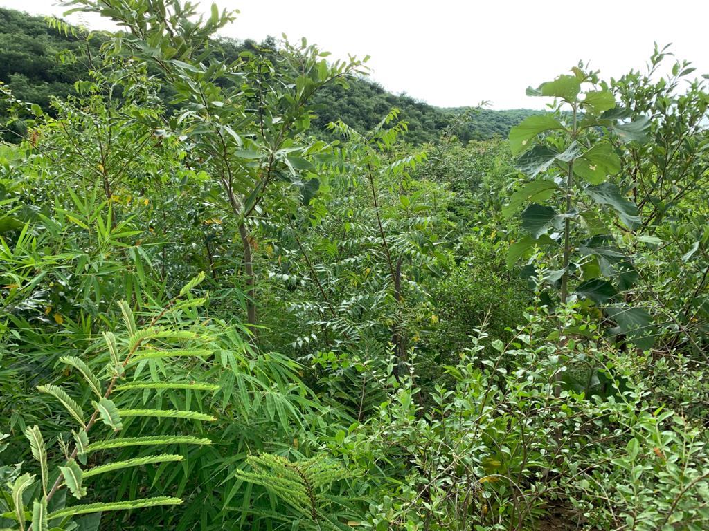 pramod kumar tweet media