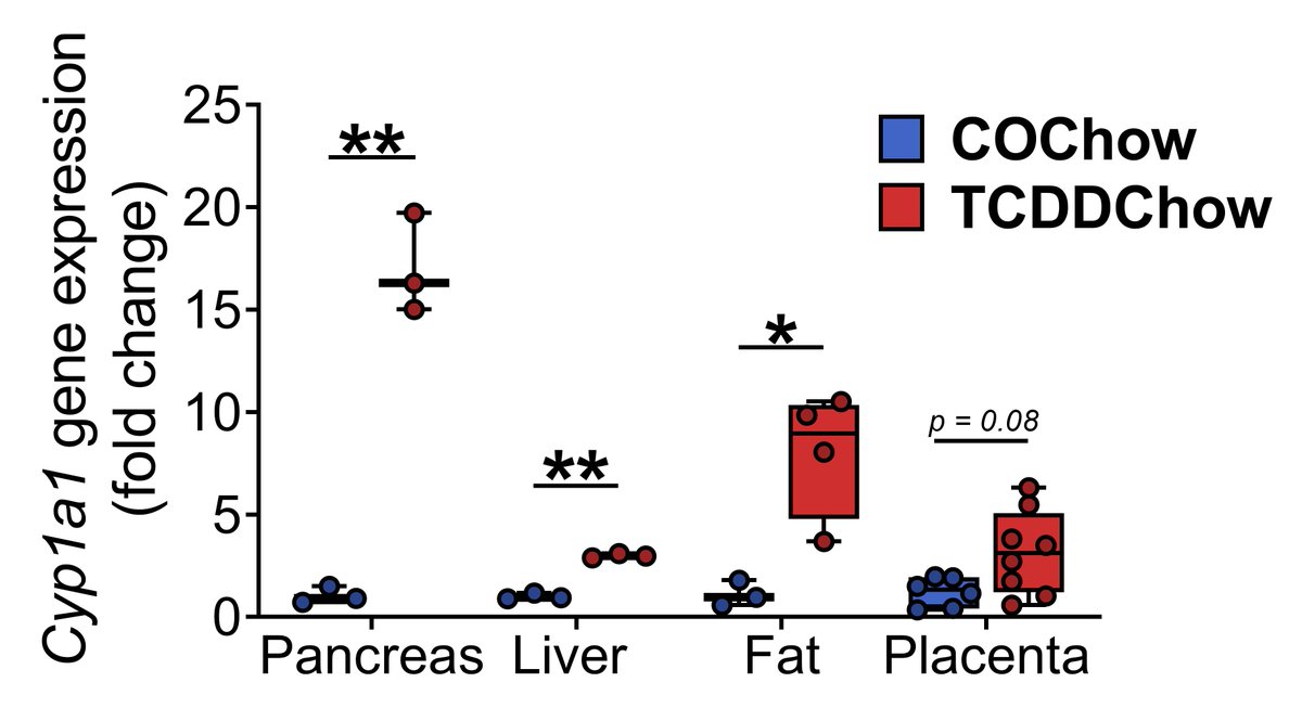 We used Cyp1a1 as a biomarker of direct cell/tissue exposure to TCDD (see DOI:10.1007/s00125-019-05035-0  http://doi.org/10.1038/s41598-020-57973-0 for more detail). Fig 1 shows that TCDD reaches the pancreas of pregnant dams and induces Cyp1a1 even more strongly than in the liver or fat. (5/13)