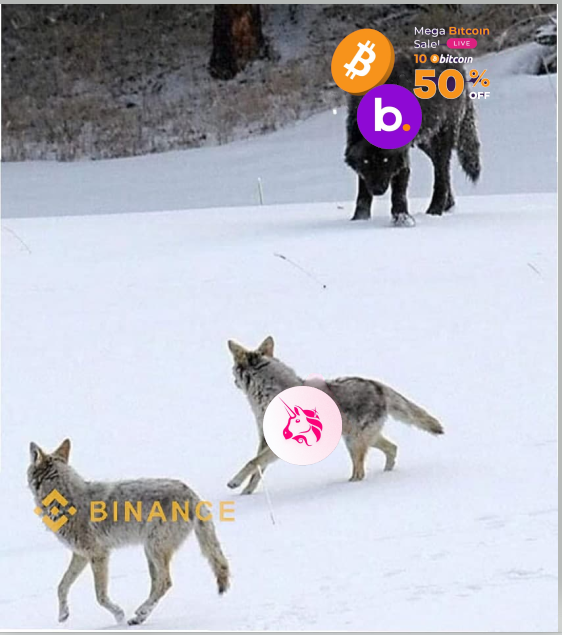 Wiki_Researcher's tweet image. #PoolSale 
#CryptoHiSahiHai #ContestAlert #cryptocurrency #Bitcoin