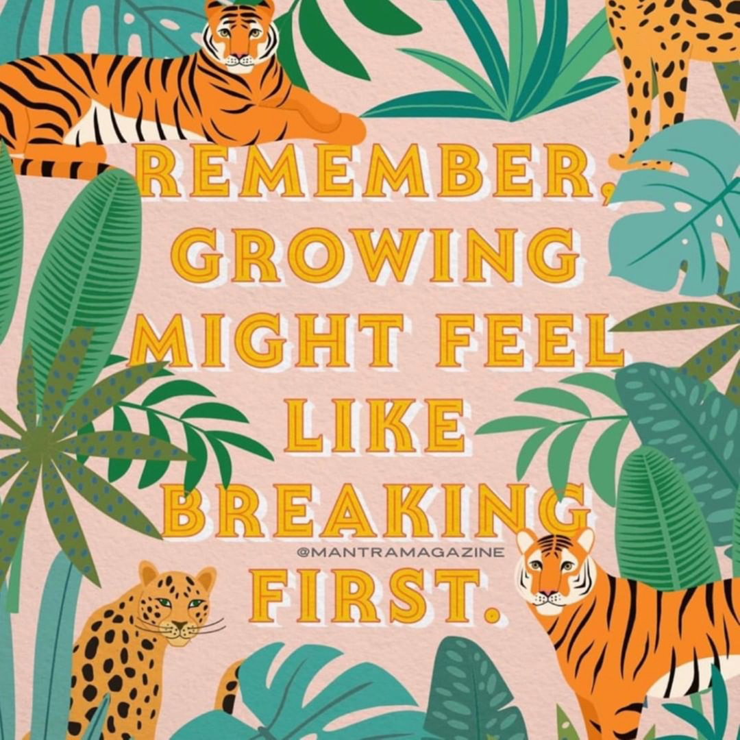 One great thing about 2020, is it's forced growth. This work is painful and tiring. It takes a lot of energy to change. It would be easier to turn away and take the path of least resistance. But I'm grateful for the clear vision 2020 has given me and I'm thankful for the new thin