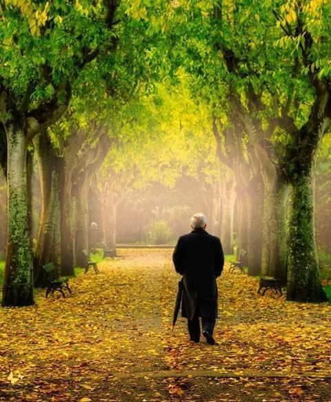 OlgaLosad's tweet photo. "Ser feliz no significa que todo sea perfecto. Significa que has decidido mirar más allá de las imperfecciones". 
- Louise Hay. https://t.co/64wAinbENS