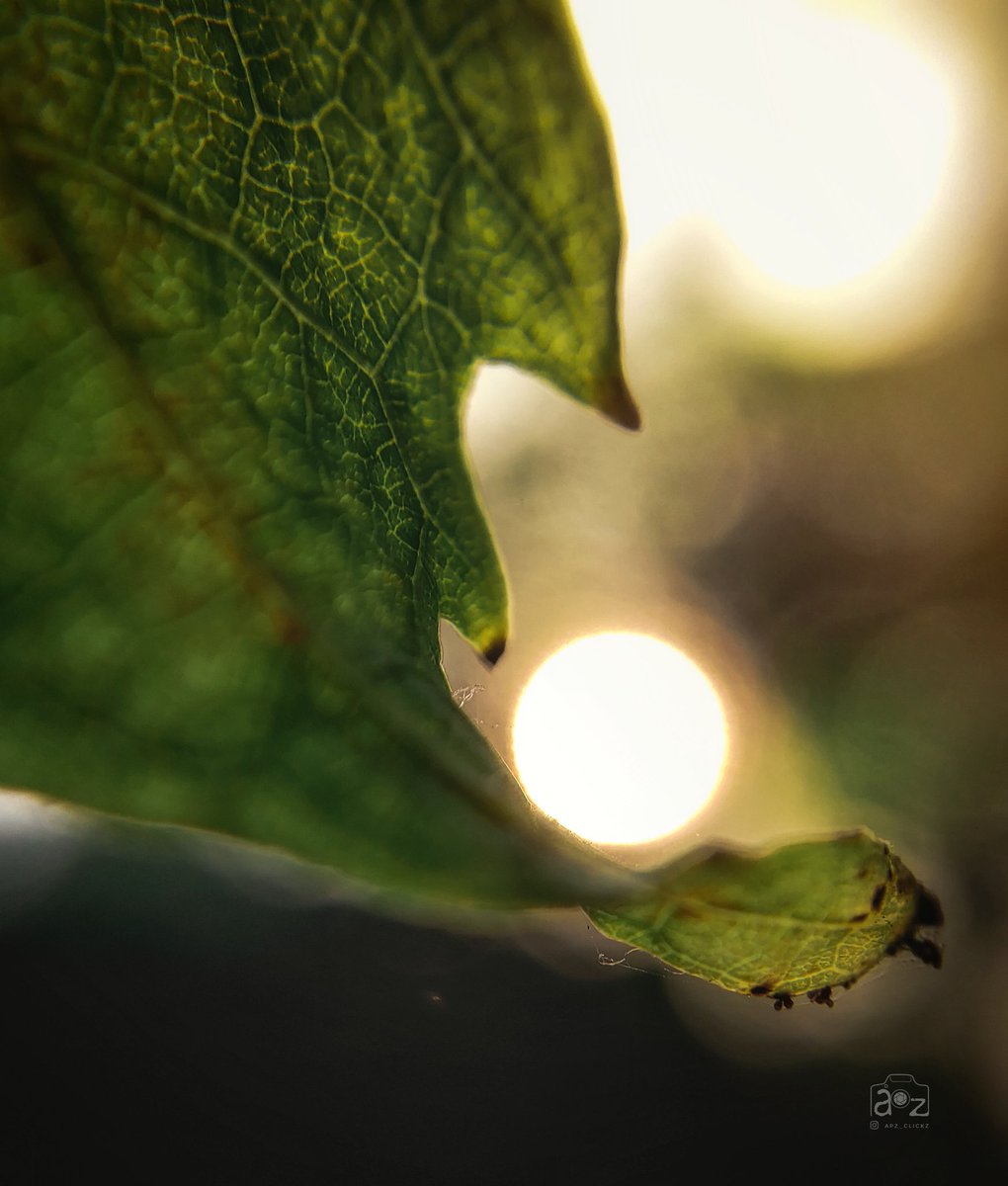 AkarshApz's tweet photo. Everybody loves the moon which sees on the night more than the sun which gives it's light to the moon itself. 
#natgeo @NatGeo @NatGeoPhotos #Twitter @Twitter https://t.co/dgYsy8umjD