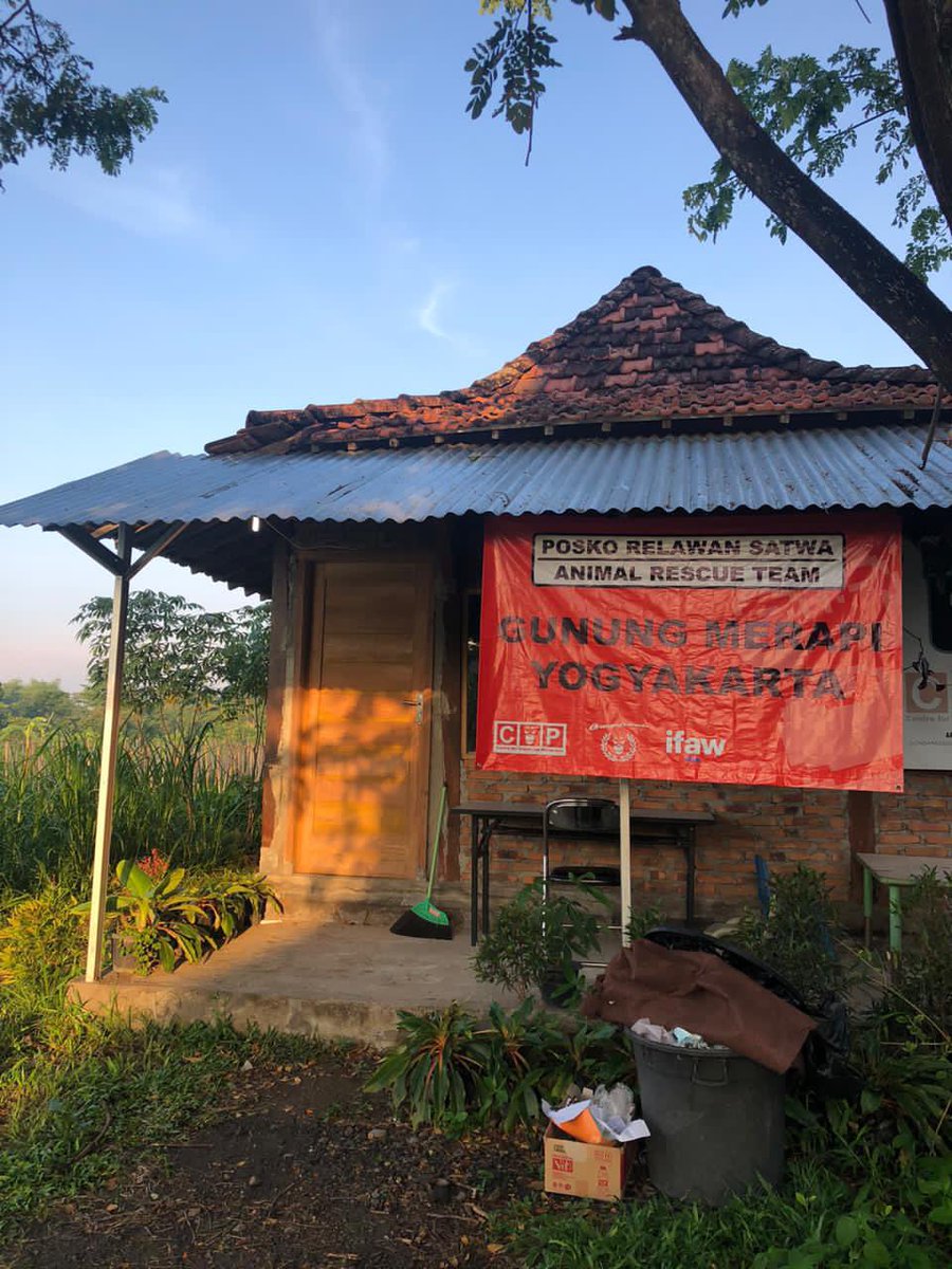 orangutan_COP's tweet photo. Calling Orangufriends! #SiagaMerapi2020 https://t.co/MPpB53Fm4o