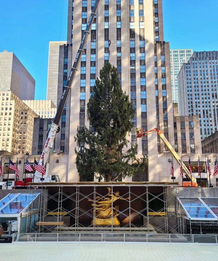 Shadypenguinn's tweet photo. I think the Christmas Tree in Rockefeller center sums up 2020 pretty well. https://t.co/1KgwYtguRo