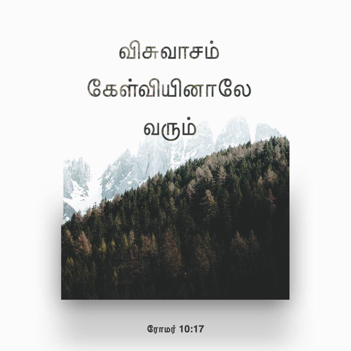AarudhalTV's tweet photo. ஆதலால் விசுவாசம் கேள்வியினாலே வரும், கேள்வி தேவனுடைய வசனத்தினாலே வரும். 

- ரோமர் 10:17 - https://t.co/WAOzLBcQJC