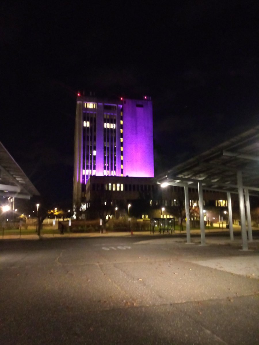 We lit the New York metro area purple last night to shine a light on the crisis of preterm birth and in honor of #WorldPrematurityDay! Check out the amazing pictures below <a href="/LunaParkNYC/">Luna Park in Coney Island</a> <a href="/GMMCB/">Gov. Mario M. Cuomo Bridge</a>