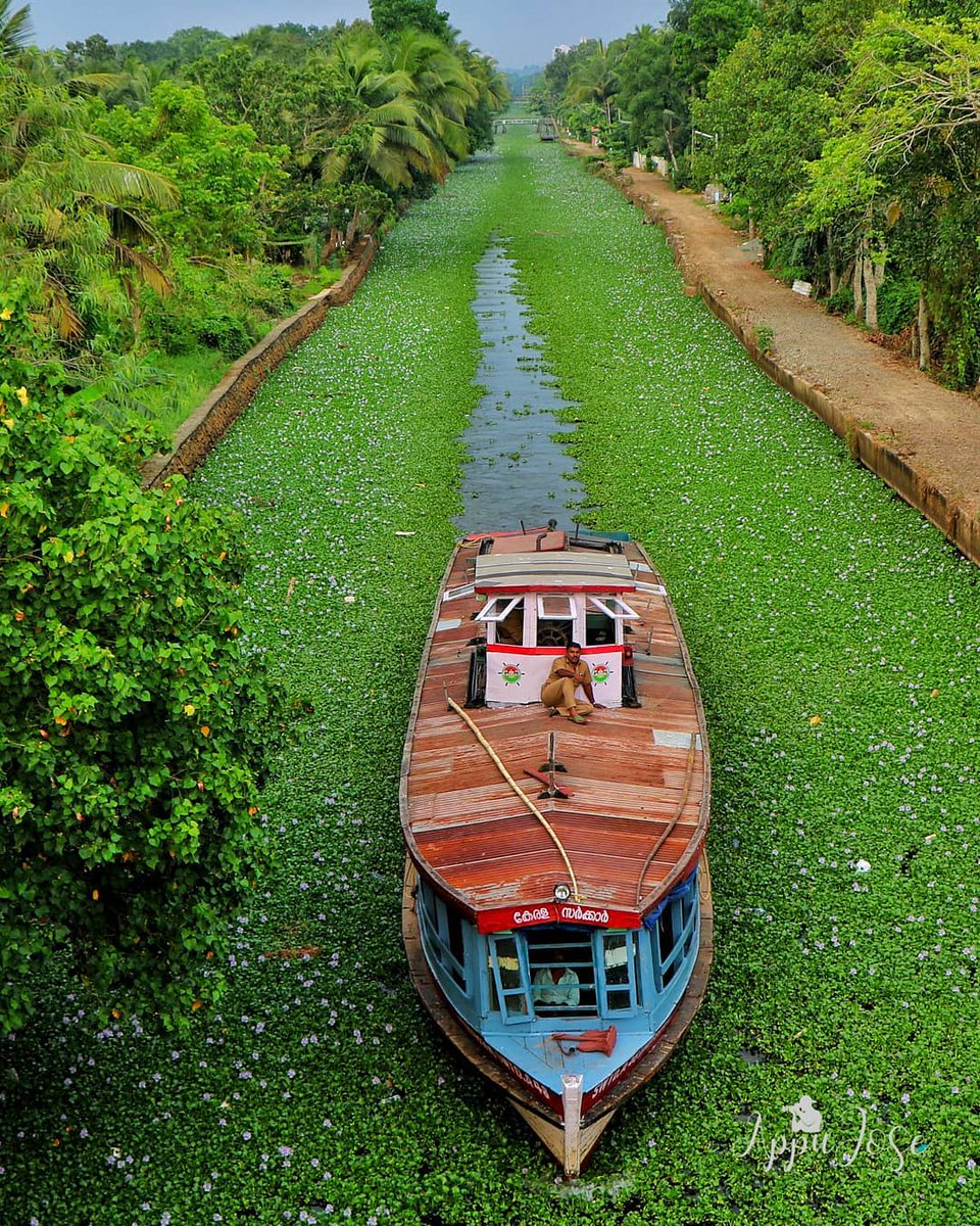 TravelinHoliday's tweet photo. 🏞kottayam🏞
Follow....... @Travelinindia
📸 :@jose.appu
#TravelinHoliday #kottayam #kottayamdiaries #kottayamkaran #kerala #india #keraladi #keralawan #keralaportfolio #traveltheworld #travelspk #visitsp #visitorsp #traveldiariesindia #indiatourismplaces #indiatorism https://t.co/d269GERbPx