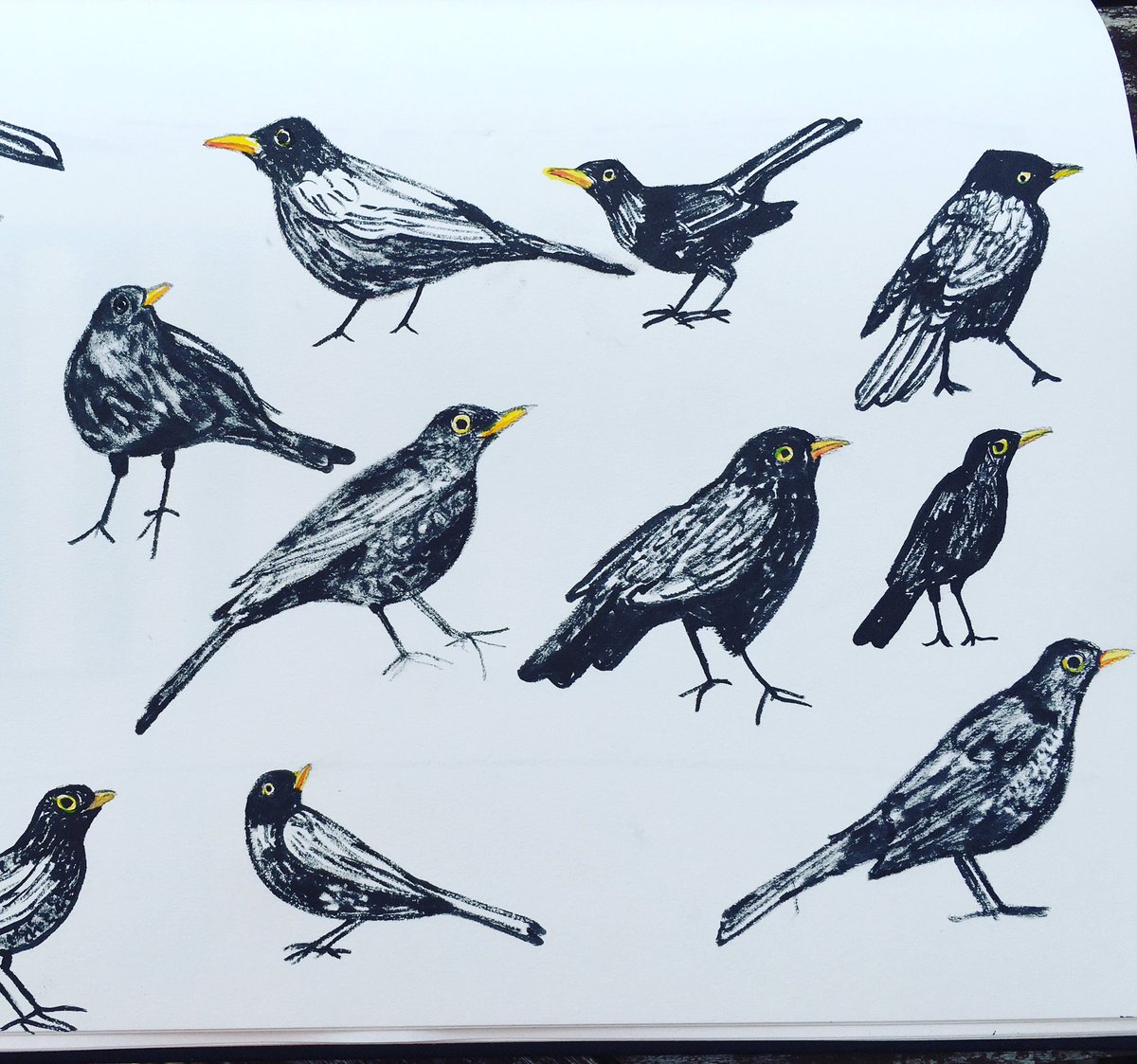 Harry’s interview took place in his garden when restrictions were lifted during lockdown. We were accompanied by blackbirds. Blackbirds are a theme in Harry’s Story as he compared 2020 with his childhood years of the 1940s. <a href="/worcestermuseum/">Museums Worcestershire</a> <a href="/ace_midlands/">ACE Midlands</a> <a href="/SarahMillin1/">Sarah Millin</a>