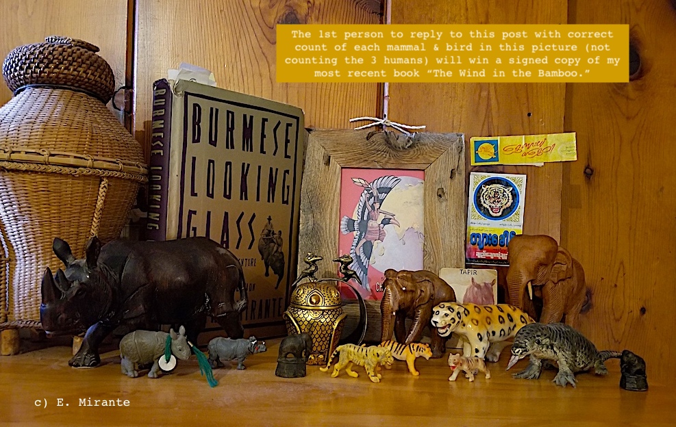 21/21. Sources incl.  @Jonathan_Saha blog,  @VickiCroke 2014,  @JacobAShell 2019. Thanks  @Kevin_M_Woods & Faith Doherty!  @ICCAConsortium supports Indigenous & Community Conserved Area efforts in Myanmar. Links to my previous Burma History Threads & reports at  http://www.projectmaje.org&nbsp;